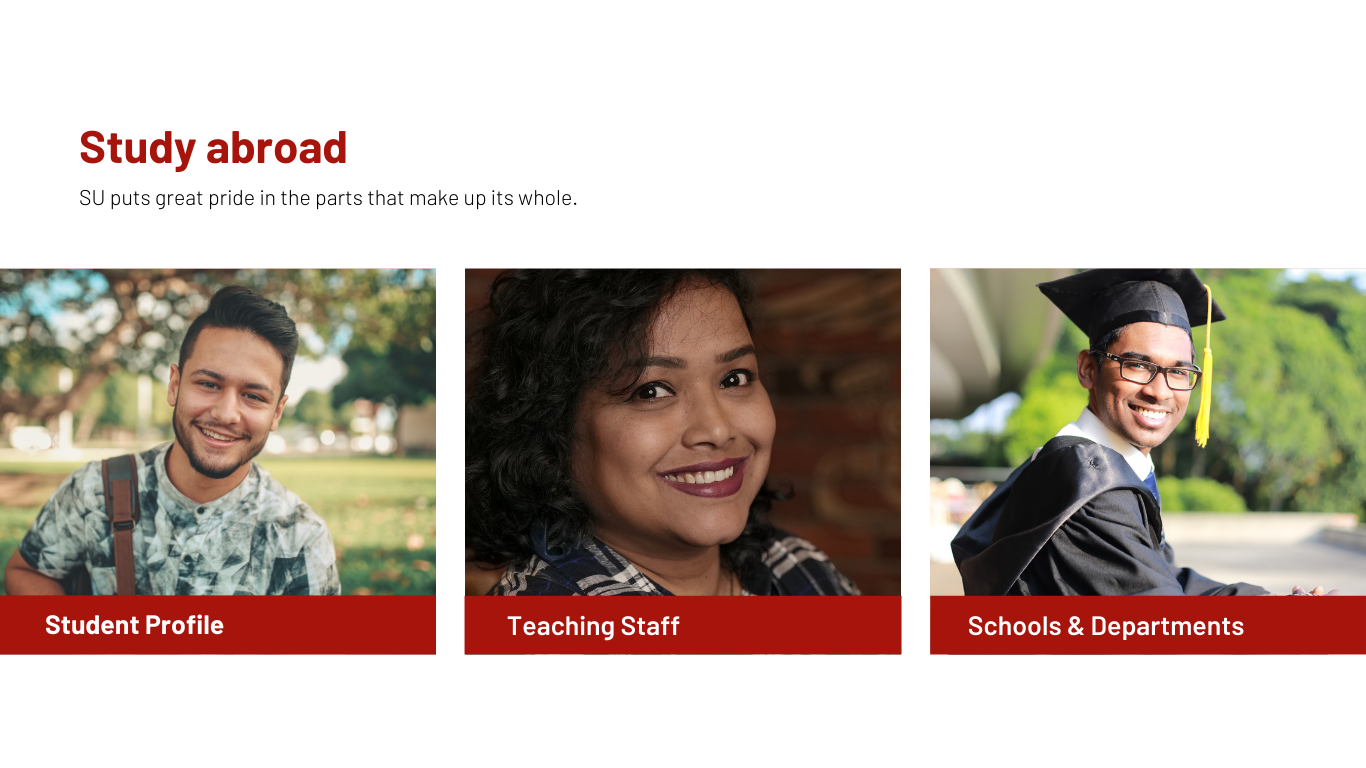 Study abroad consultancy