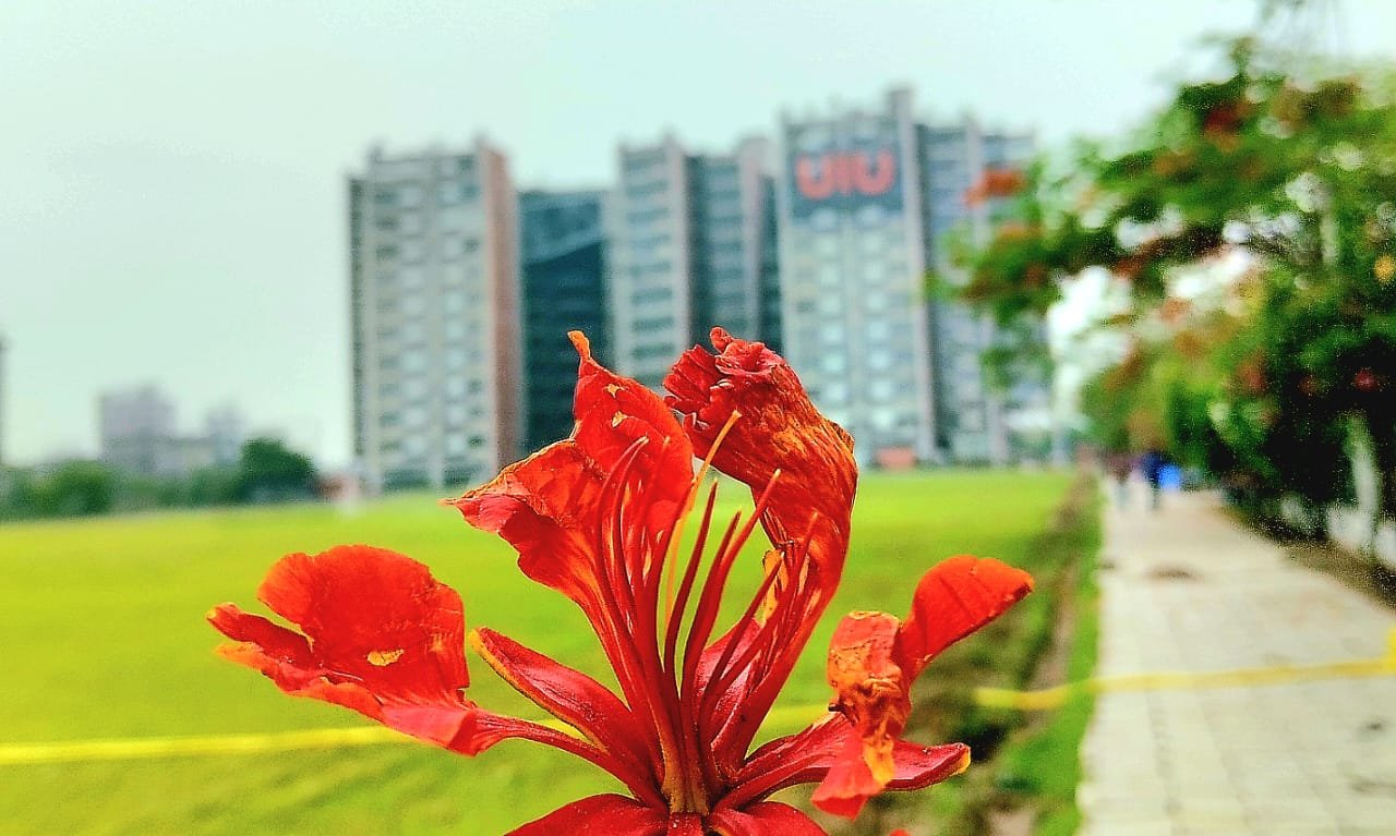 7-proven-study-techniques-for-online-learners